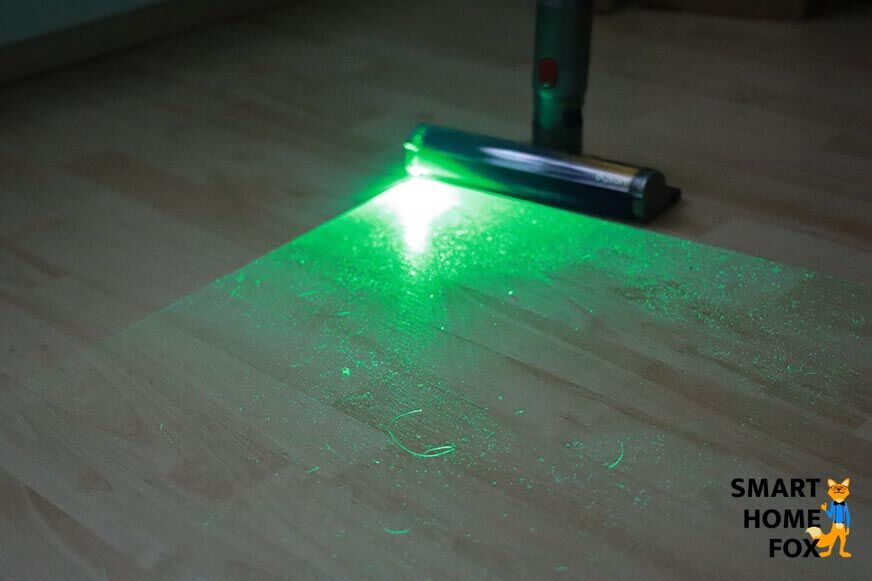 V15 Laser Fluffy before vacuuming in the bright